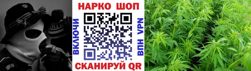Где продают наркотики Кировск А ПВП  АМФЕТАМИН  Каннабис  OMG ссылка  Гашиш 