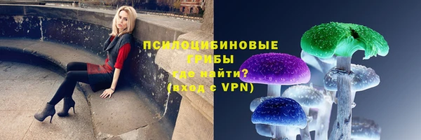 сатива Верхнеуральск