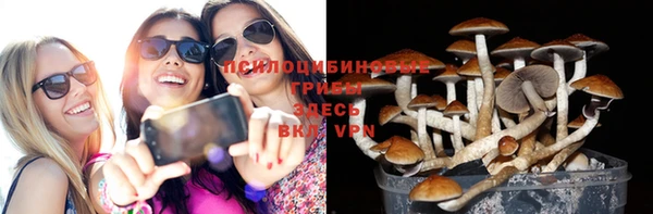 сатива Верхнеуральск