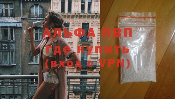 ПСИЛОЦИБИНОВЫЕ ГРИБЫ Верхний Тагил