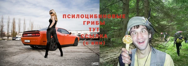 ПСИЛОЦИБИНОВЫЕ ГРИБЫ Верхний Тагил