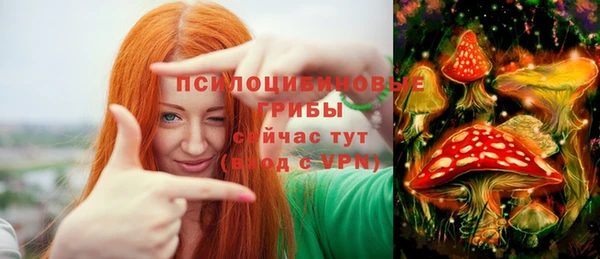 сатива Верхнеуральск