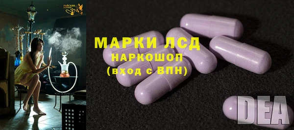 ПСИЛОЦИБИНОВЫЕ ГРИБЫ Верхний Тагил